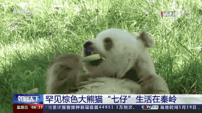 微信图片_20211215123425.gif