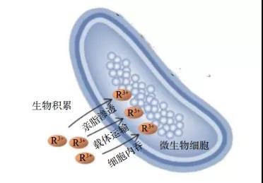 微信图片_20210118124942.jpg