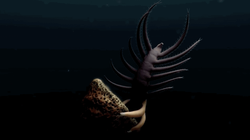 微信图片_20210412135819.gif