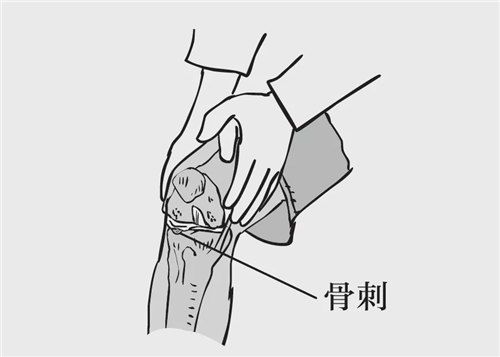 图片46.png