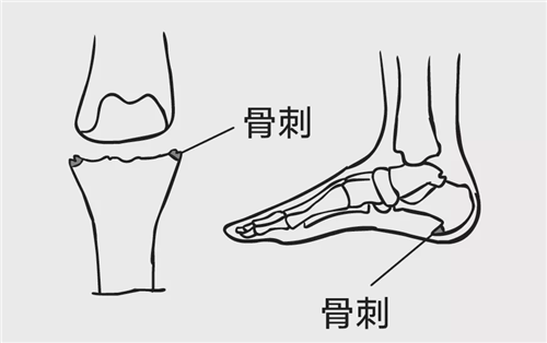 图片49.png