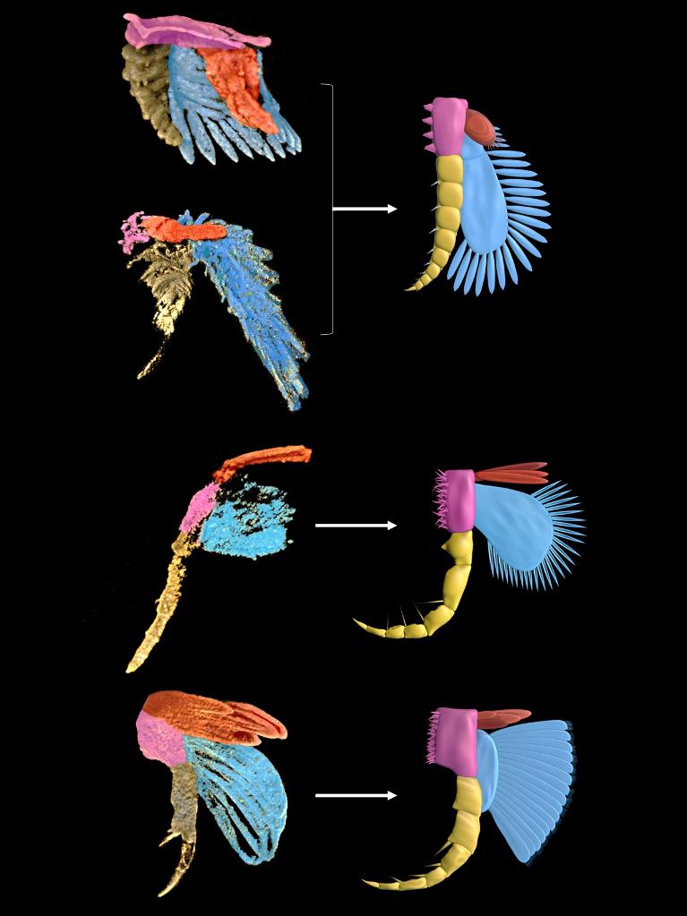 W020210803376547395769.jpg