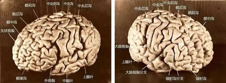 微信图片_20210816143103.jpg