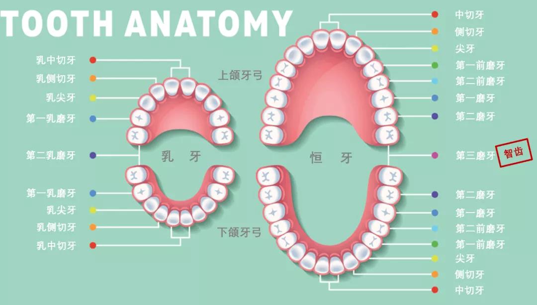 微信图片_20211026170028.jpg