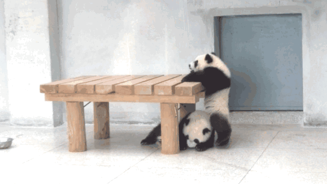 微信图片_20211215123517.gif