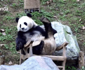 微信图片_20220122160503.gif