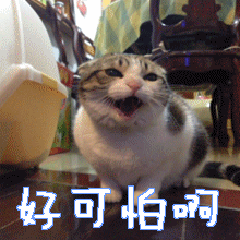 微信图片_20220122161422.gif