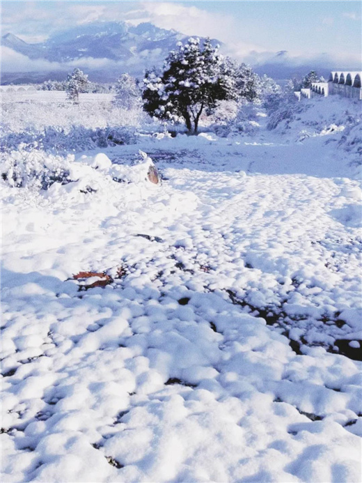 1644978046916423.jpeg