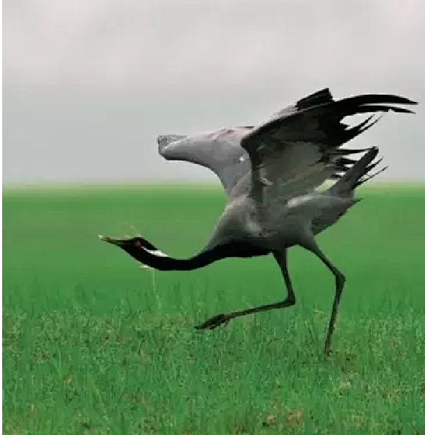 1645497787357722.png