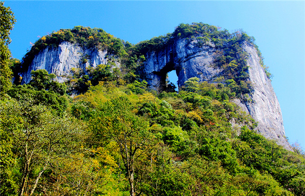 金佛山景点图片图片