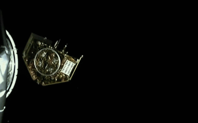 4.gif