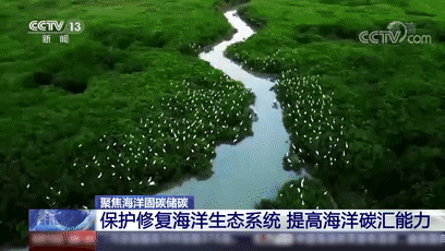 5.gif