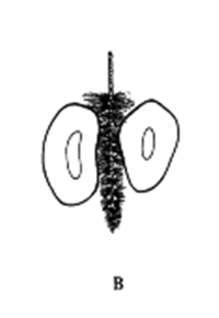 1666681895148.png