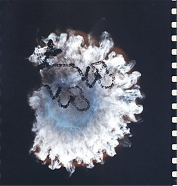 1682308630774.png
