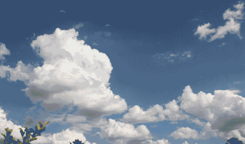 1.gif