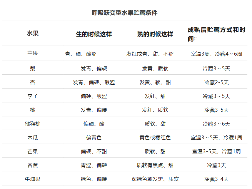 水果1.png