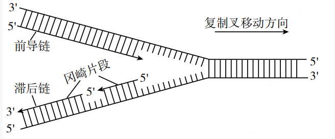 截图_选择区域_20240116110851.png