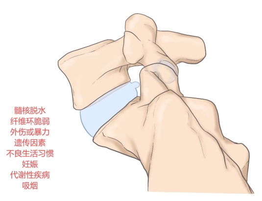 9.13养生002.png