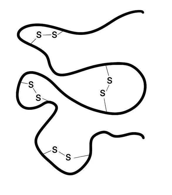 3.jpeg