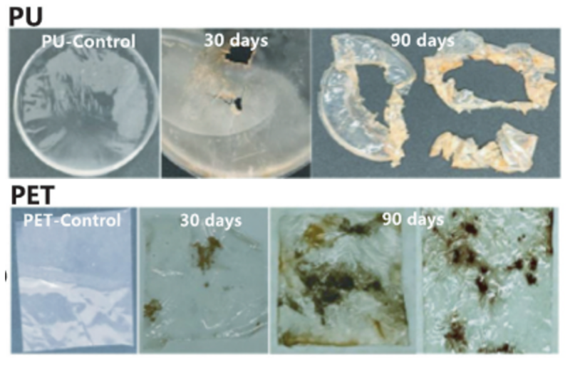 1770950083498086.png 2.png