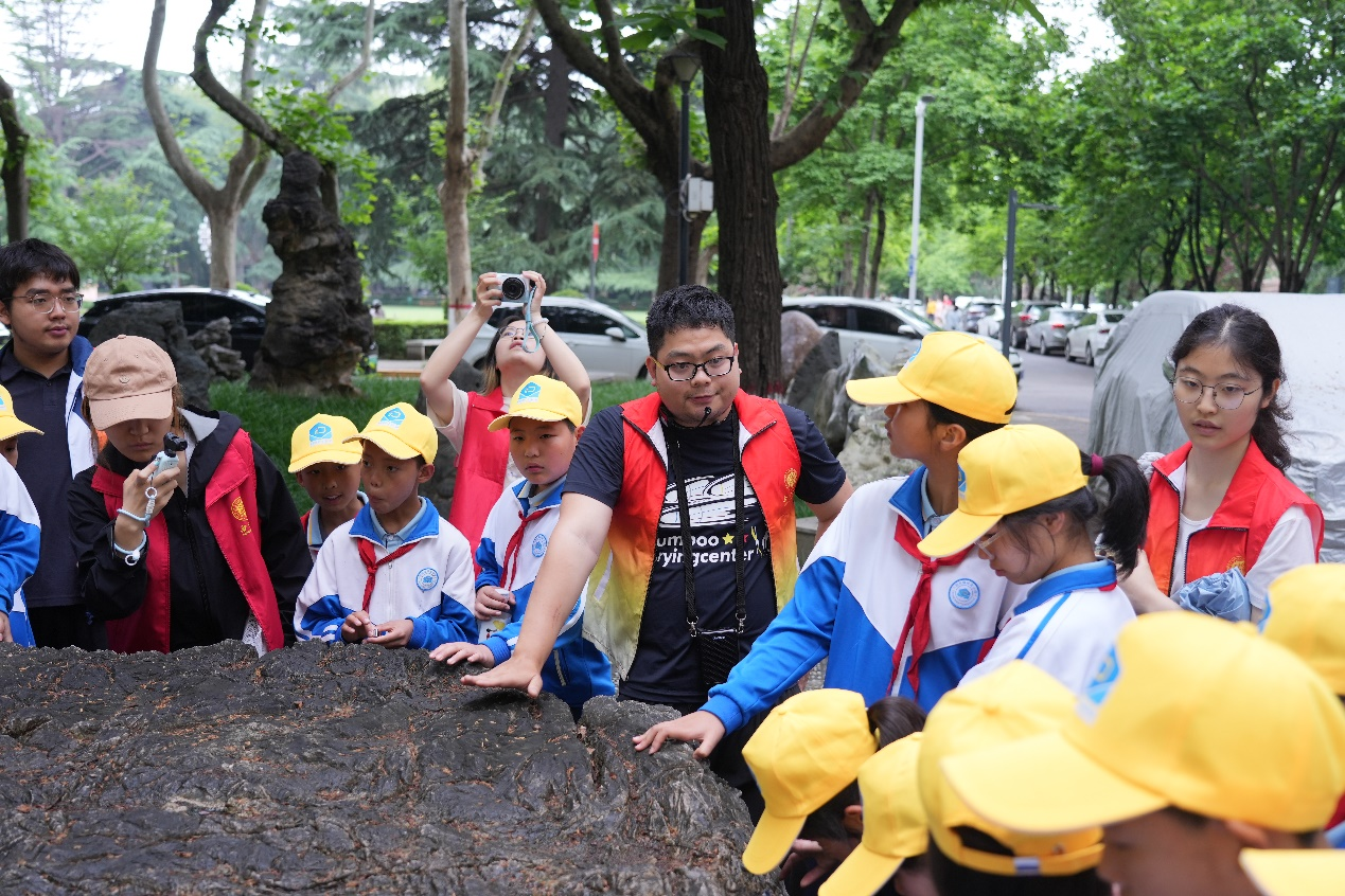 1779348031332675.png 图片1.png